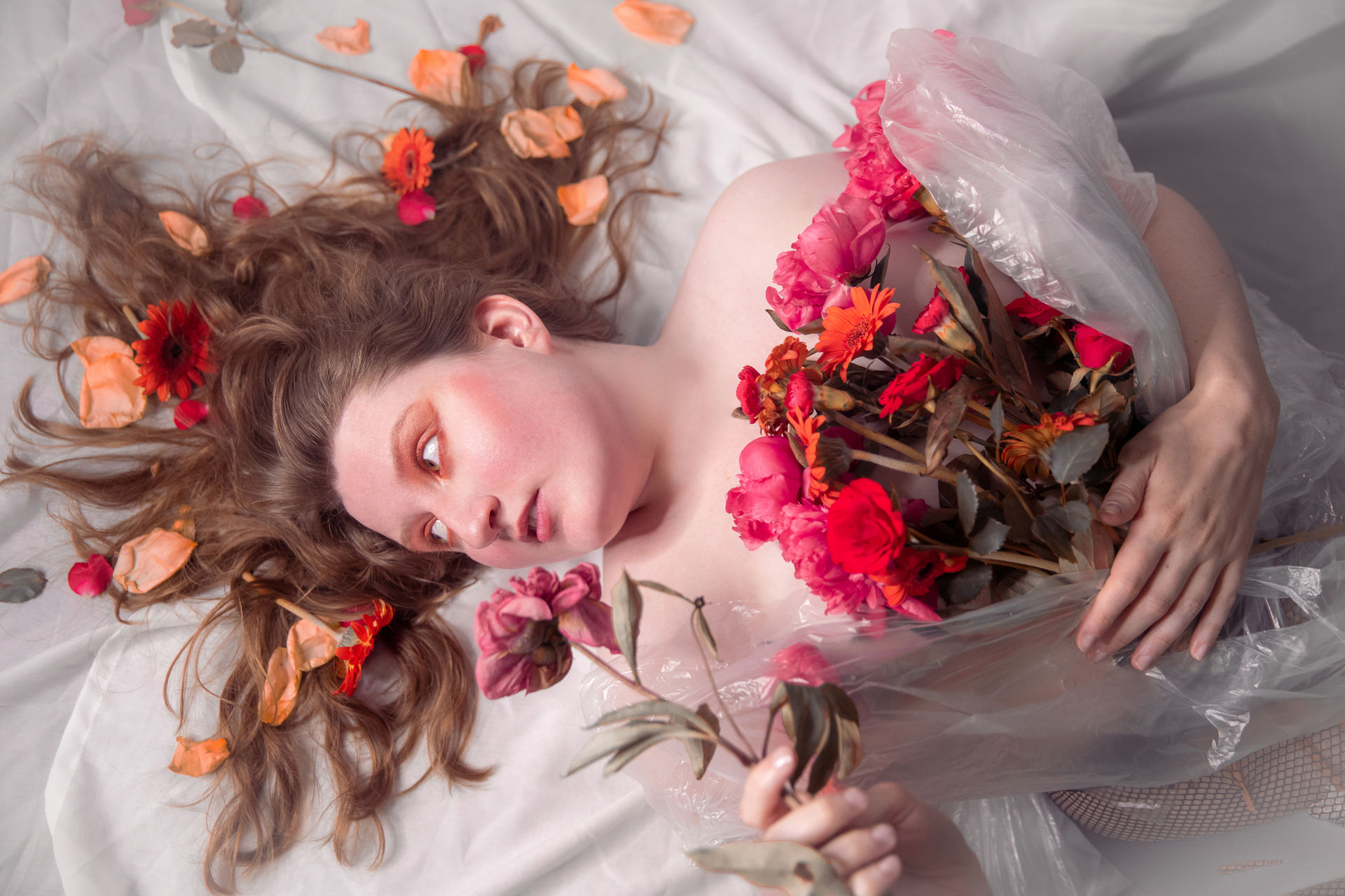 Foil and Flowers Konzept